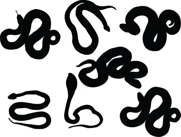 Collection of snake silhouette — Stock Vector