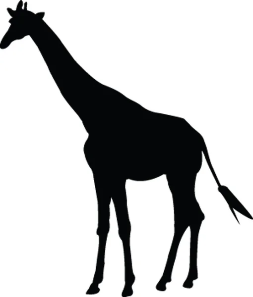 Silhouette girafe — Image vectorielle