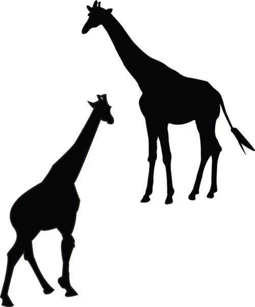 Colección de jirafas — Archivo Imágenes Vectoriales