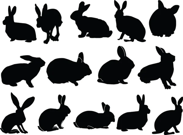 Collectie van bunny — Stockvector