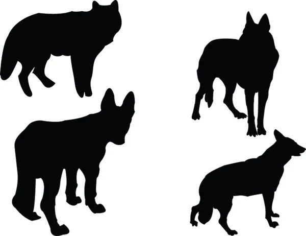 Collection de loups - vecteur — Image vectorielle