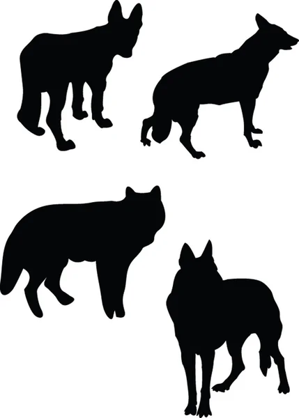 Colección de lobos — Archivo Imágenes Vectoriales