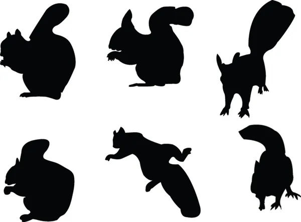 Collection d'écureuils — Image vectorielle