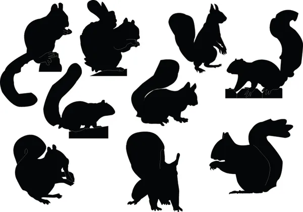 Collection d'écureuils — Image vectorielle