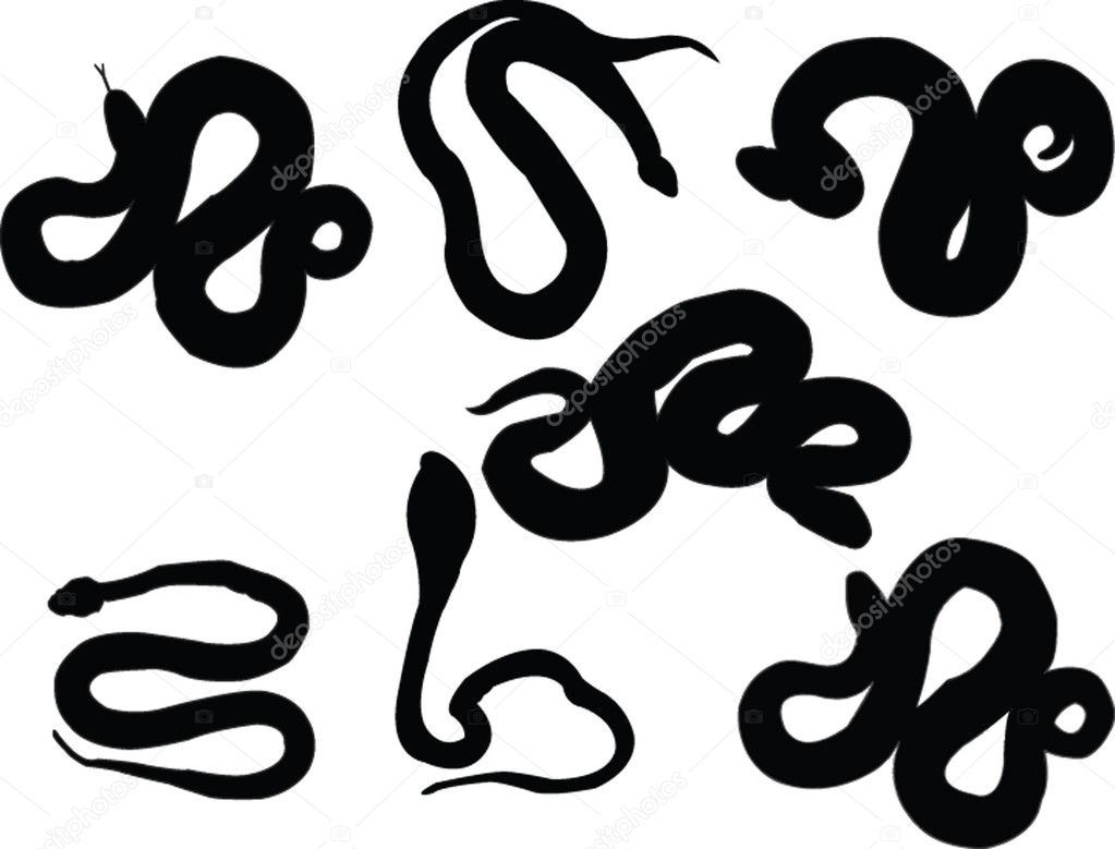 Collection of snake silhouette
