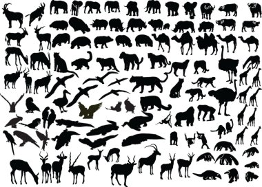 Animal of africa clipart