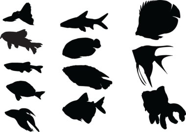 Aquarium fish collection clipart