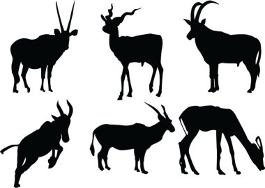 Antelopes collection clipart