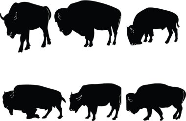 Buffalo-bisons collection clipart
