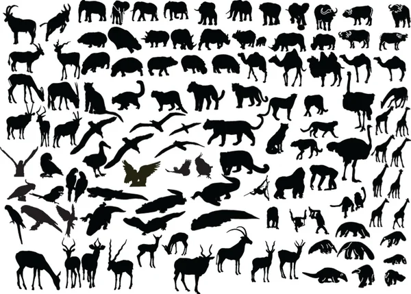 Animal d'Afrique — Image vectorielle