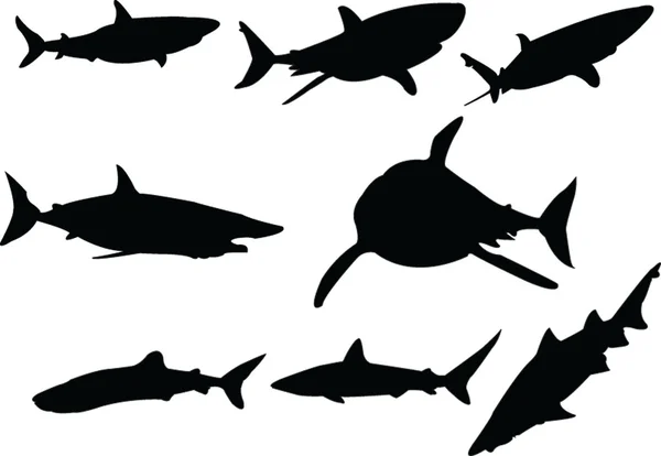 Žraloci kolekce — Stockový vektor