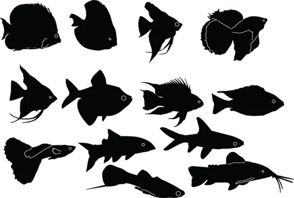 Aquarium collection de poissons — Image vectorielle
