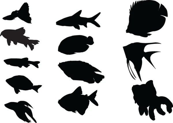 Akvaryum balık koleksiyonu — Stok Vektör