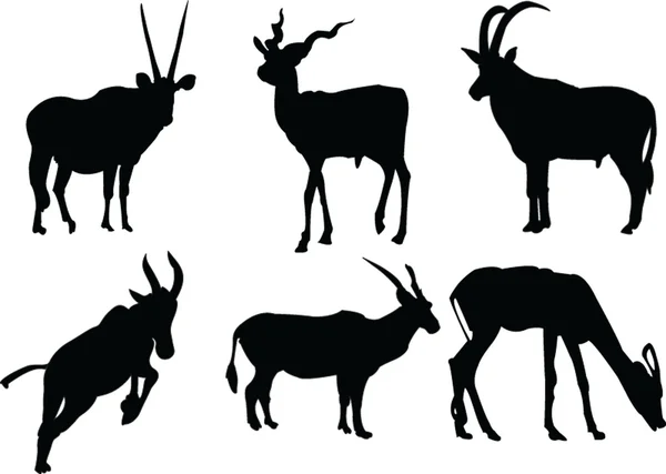 Antilop koleksiyonu — Stok Vektör