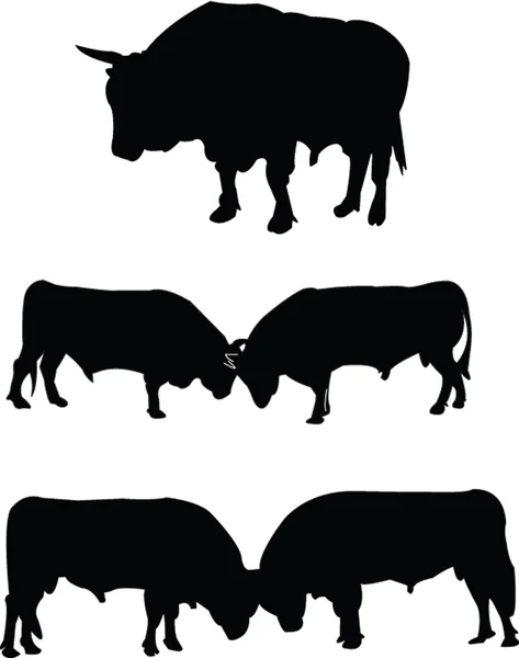 Coleção de silhuetas de touros — Vetor de Stock
