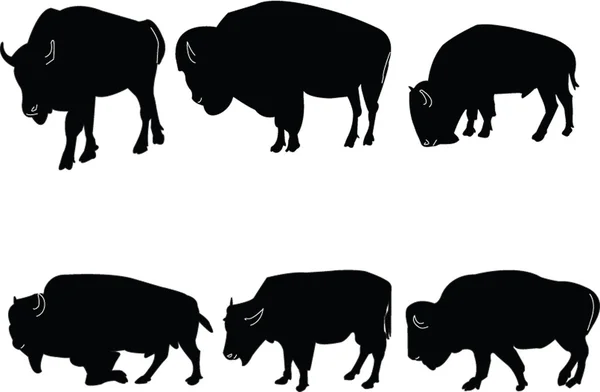 Collezione bisonti di bufala — Vettoriale Stock
