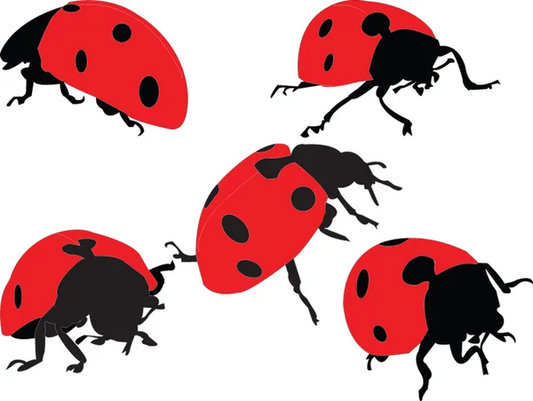 Ladybird silhuet kollektion – Stock-vektor