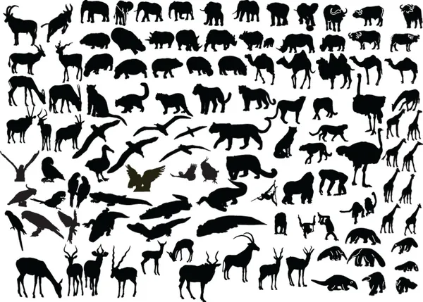 Животное Африки — стоковый вектор