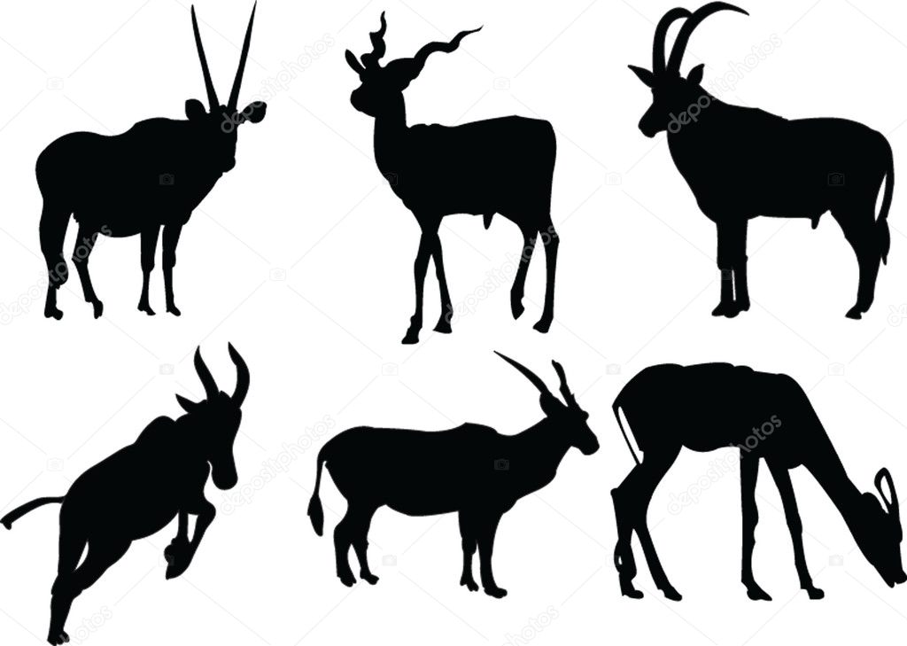 Antelopes collection