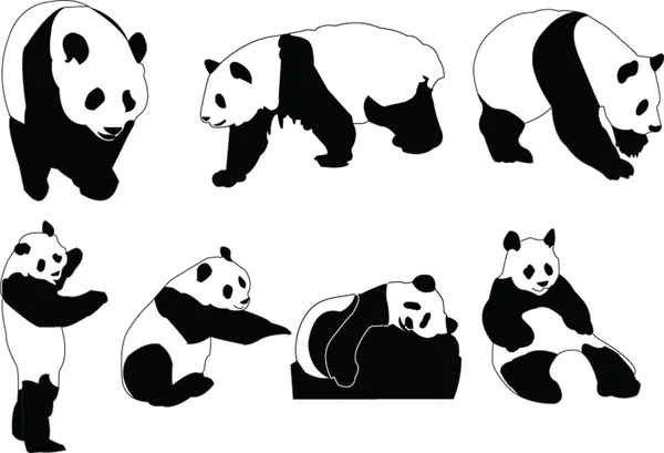 Panda collectie — Stockvector