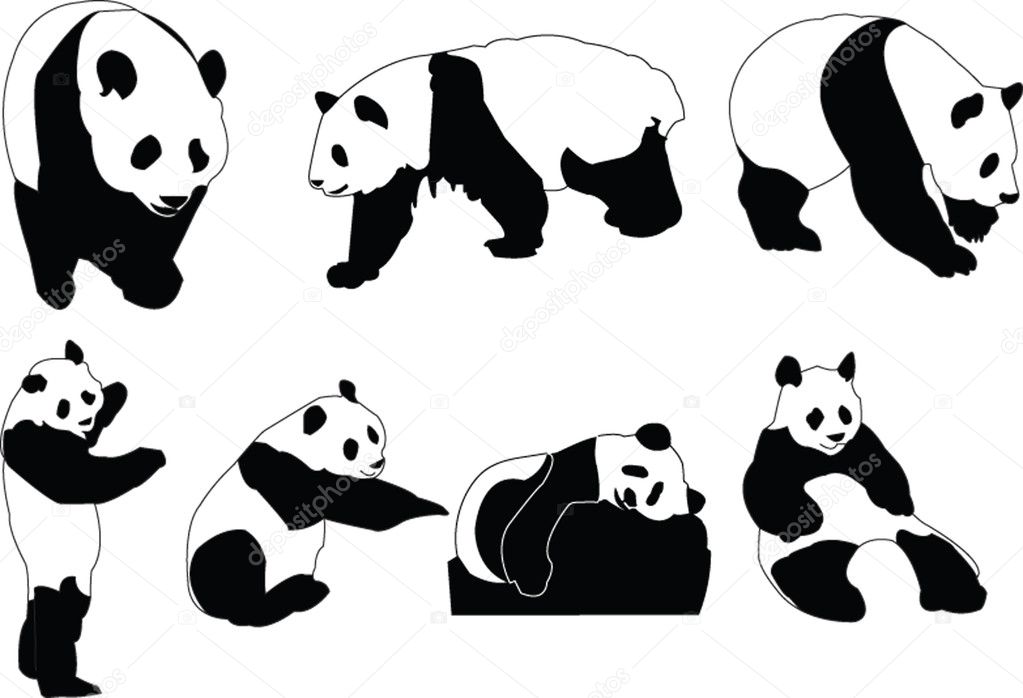 Panda collection