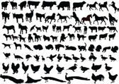 Картина, постер, плакат, фотообои "farm animal collection", артикул 2127825