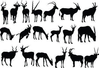 Antelopes collection clipart