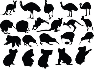 Wild animals illustrations collection clipart