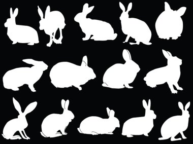 Bunnies collection clipart