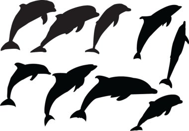 Dolphins collection clipart