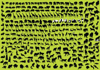 Big collection of wild animals clipart