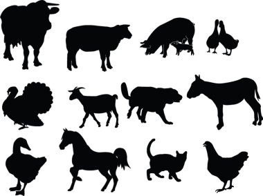 Farm animal collection clipart