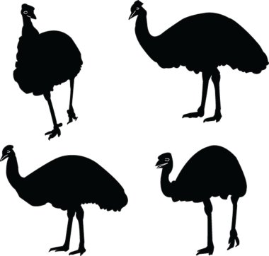 Emu collection clipart