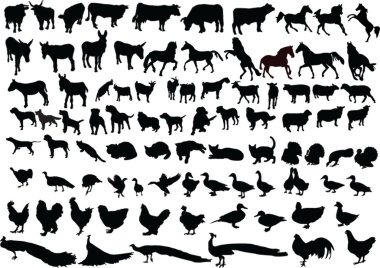 Farm animal collection clipart