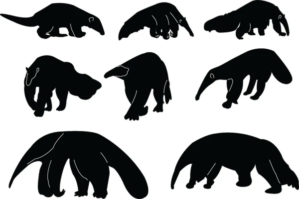 Collection Anteaters — Image vectorielle