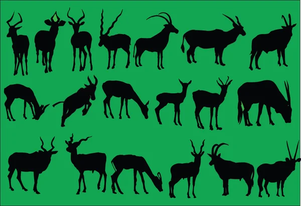 Antelopes illustration collection — Stock Vector