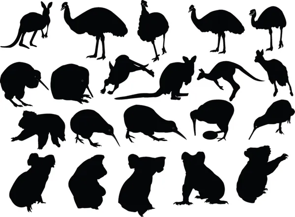 Collection d'illustrations d'animaux sauvages — Image vectorielle