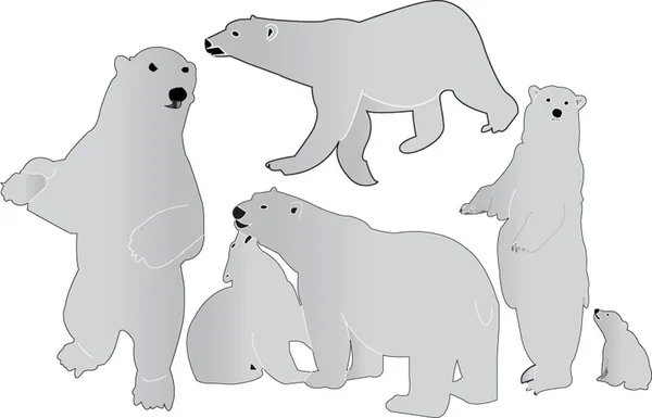 Colecção de ursos marinhos —  Vetores de Stock