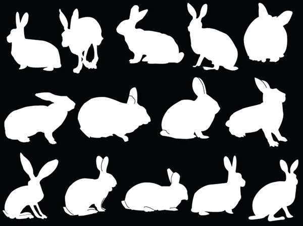 Verzameling van konijnen — Stockvector