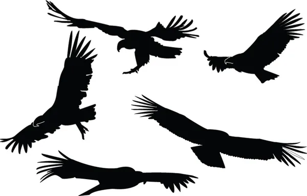 Collection Condors — Image vectorielle