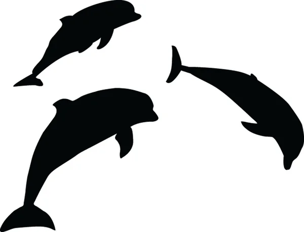 Delfines — Vector de stock