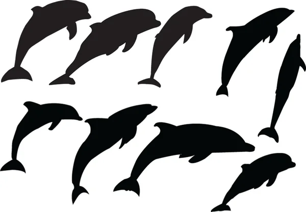 Colección de delfines — Archivo Imágenes Vectoriales