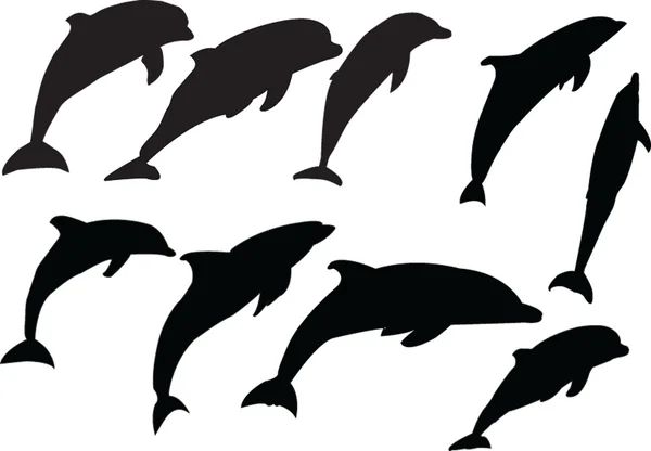 stock vector Dolphins collection