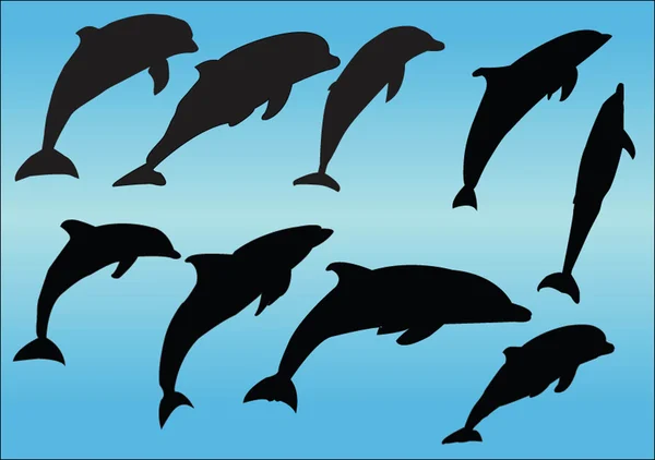 海豚集合 — 图库矢量图片