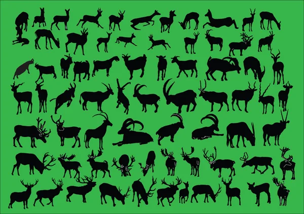 Vilda djur samling — Stock vektor