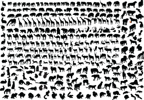 Collection of wild animals - vector — Stock Vector