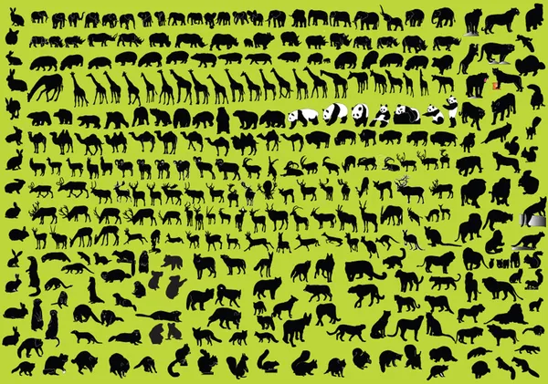 Big collection of wild animals — Stock Vector