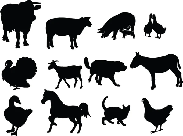 Kolekcja zwierząt gospodarstwa — Wektor stockowy
