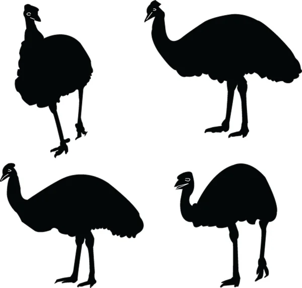 Collezione Emu — Vettoriale Stock