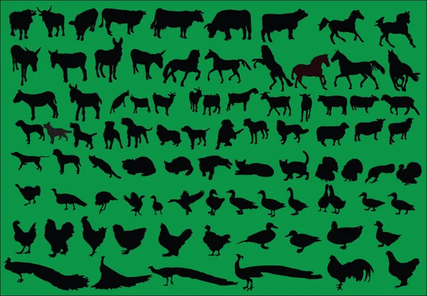 Колекція тварин ферми — стоковий вектор